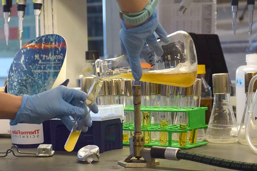 Gloved hands pour liquids from chemistry flasks  in a lab.